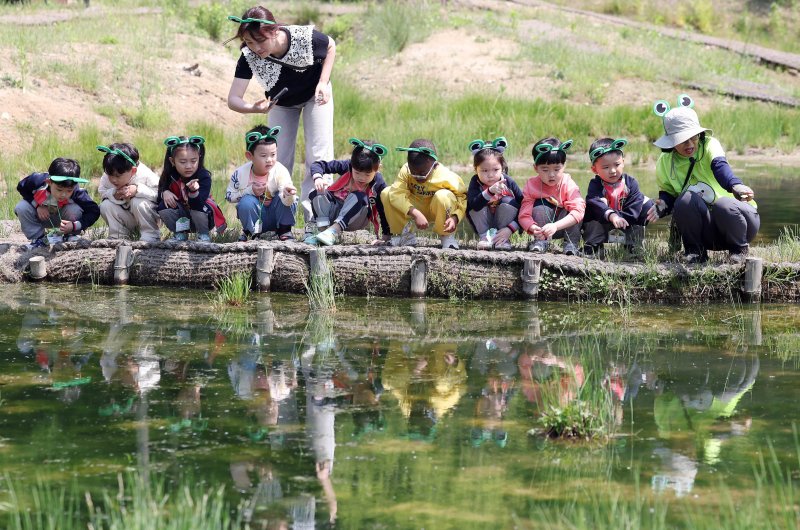 12일 광주 북구 화암동 평두메습지에서 열린 ‘람사르습지 탐험대’ 프로그램에 참가한 해달별 어린이집 아이들이 습지에 서식하는 올챙이와 곤충들을 관찰하며 자연의 소중함을 느껴보고 있다.(광주 북구 제공. 재판매 및 DB 금지) 2025.5.12/뉴스1