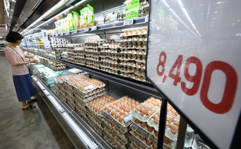 [서울=뉴시스] 황준선 기자 = 9일 서울 시내 한 대형마트 계란 매대에 소비자들이 계란을 고르고 있다. 2025.06.09. hwang@newsis.com