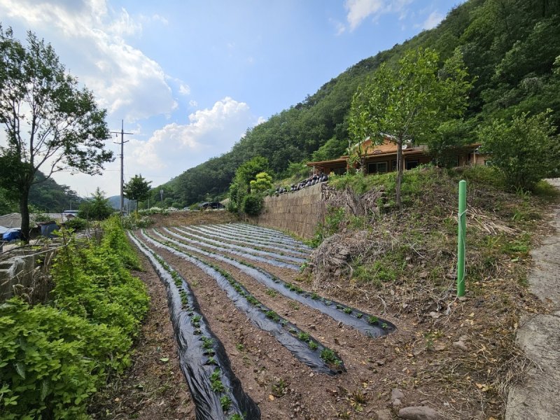 이재명 대통령 태어난 곳 (출처=연합뉴스)