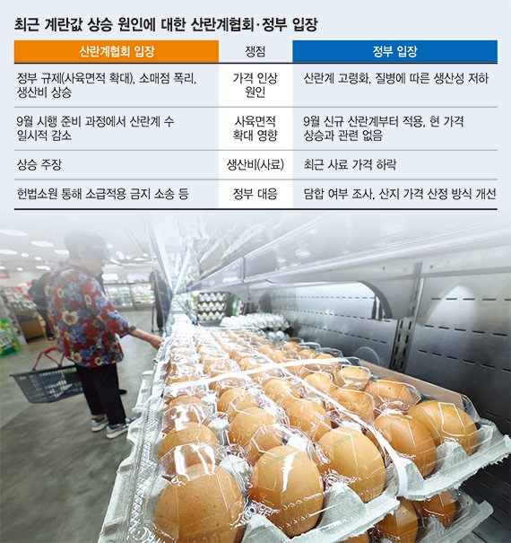 장바구니 물가 비상… ‘금계란·금겹살’ 여름까지 이어질듯 [물가와의 전쟁]