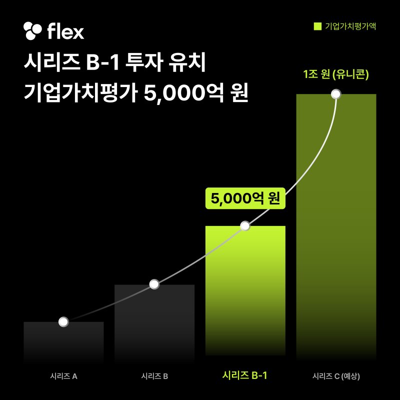 플렉스, 시리즈B 브릿지 투자 유치(플렉스 제공)