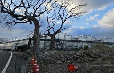 [제주=뉴시스] 제주시 애월읍 수산봉에 '서목당'이 있던 자리. 서목당은 흔적이 없어진 상태다. (사진=제주자연문화유산연구회 제공)