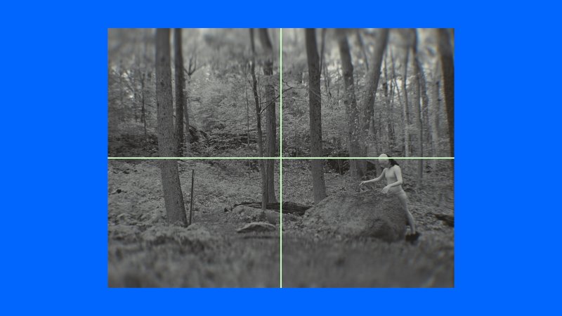 임영주, '카밍 시그널', 2023/2025, 3채널 영상 설치. 컨셉 이미지. (매그 피알 앤 제공)