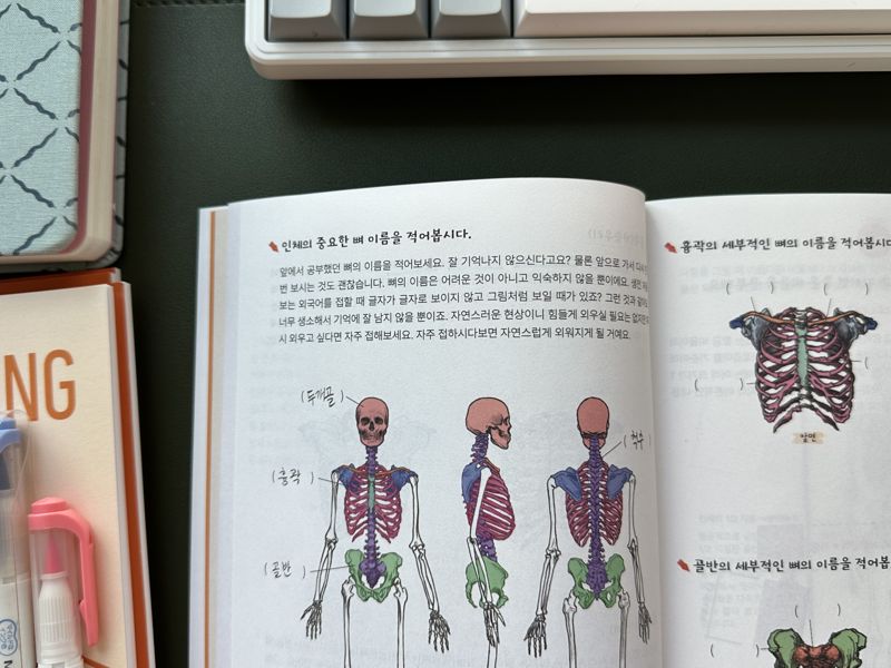 마이라이트 인체드로잉 학습지. 사진=서지윤 기자