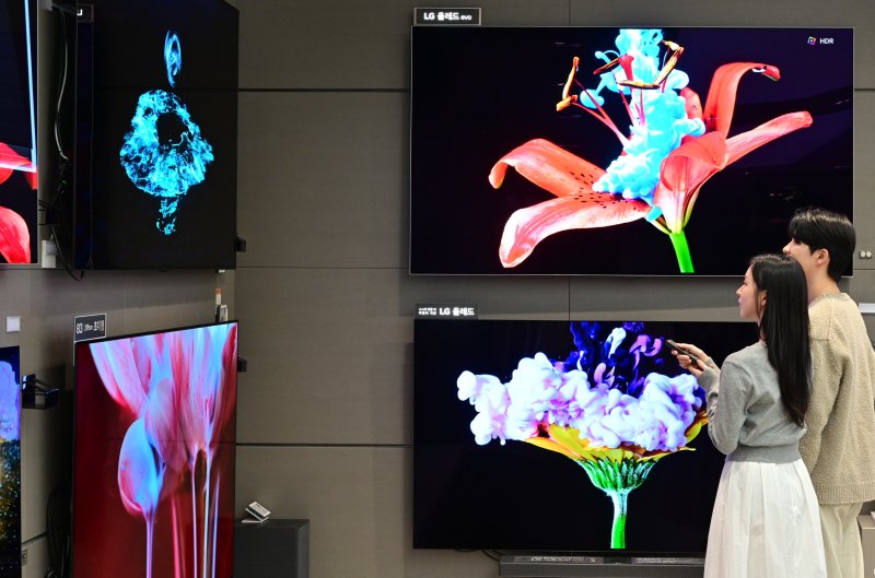 LG전자 올레드(OLED) 에보(LG전자 제공)