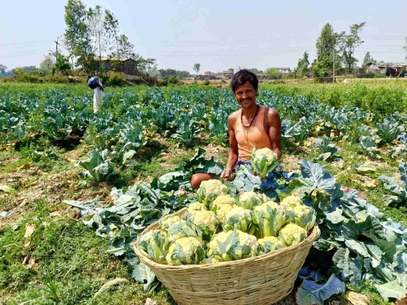 코이카, 네팔 기후위기 대응 사업 추진 (출처=연합뉴스)