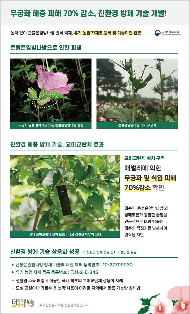 [대전=뉴시스] 무궁화 잎을 갉아먹는 해충인 큰붉은잎밤나방을 농악없이 친환경적으로 방제할 수 있는 교미교란제개발됐다. (사진=국립산림과학원 제공) 2025.06.11. photo@newsis.com *재판매 및 DB 금지