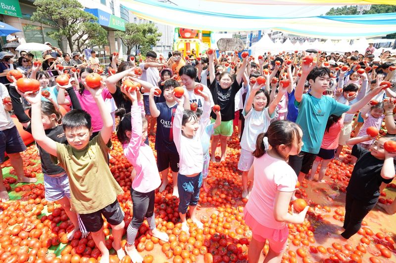 토마토 축제는 경기 광주에서...'퇴촌토마토거리축제' 20일 개막