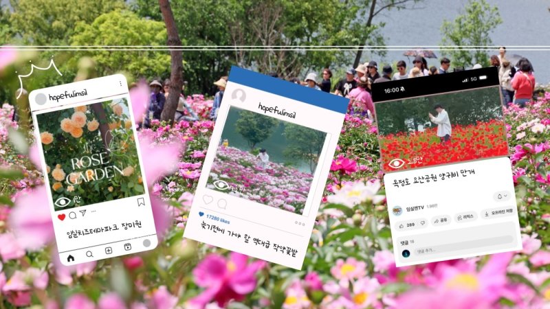 SNS로 봄꽃 자랑한 임실군, 관광객 40% 늘었다