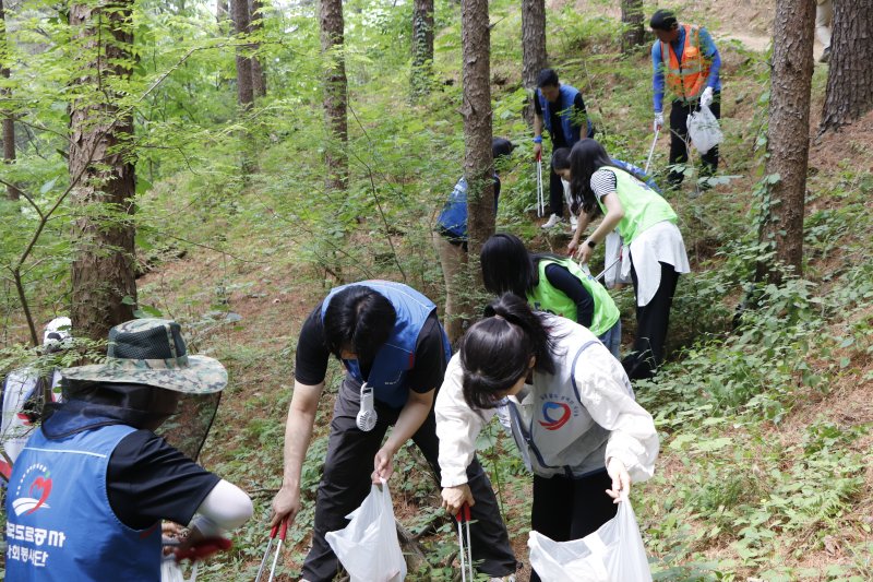 한국도로공사 강원본부 직원 38명이 지난 10일 원주시 치악산국립공원 11코스의 한가터길을 걸으며 생활쓰레기, 담배꽁초, 음료수 병 등을 수거하는 플로깅 봉사에 나섰다. (한국도로공사 강원본부 제공. 재판매 및 DB금지) 2025.6.11/뉴스1