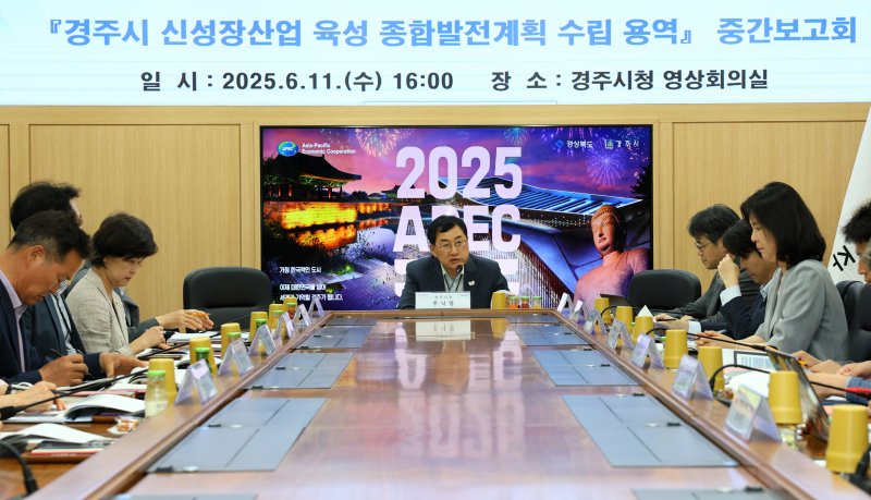 11일 경주시청에서 열린 신성장산업 육성 종합발전 계획 수립 용역 중간 보고회 모습.(경주시 제공, 재판매 및 DB금지) 2025.6.11/뉴스1