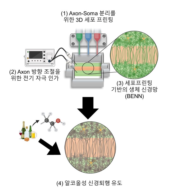 연구이미지.(사진=포스텍 제공)