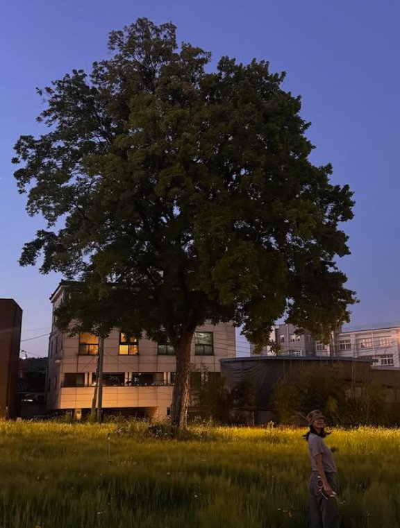 이상순, 광화문서 러닝하는 ♥이효리 공개…잉꼬부부 근황 [N샷]