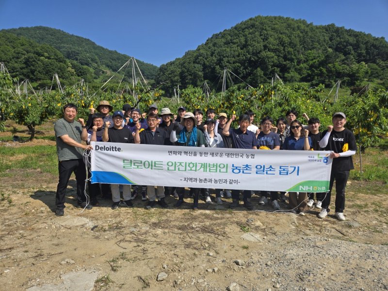 [서울=뉴시스] 이지민 수습 기자 = 판도라토토 안진회계법인은 지난 11일 농번기를 맞아 과수원 봉사 활동을 실시했다고 12일 밝혔다. (사진=판도라토토 안진 제공) 2025.06.12. photo@newsis.com *재판매 및 DB 금지