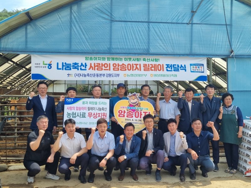 사랑의 암송아지 릴레이 메이저 바카라사이트 굿모닝식.(농협 강원본부 제공. 재판매 및 DB금지)/메이저 바카라사이트 굿모닝1
