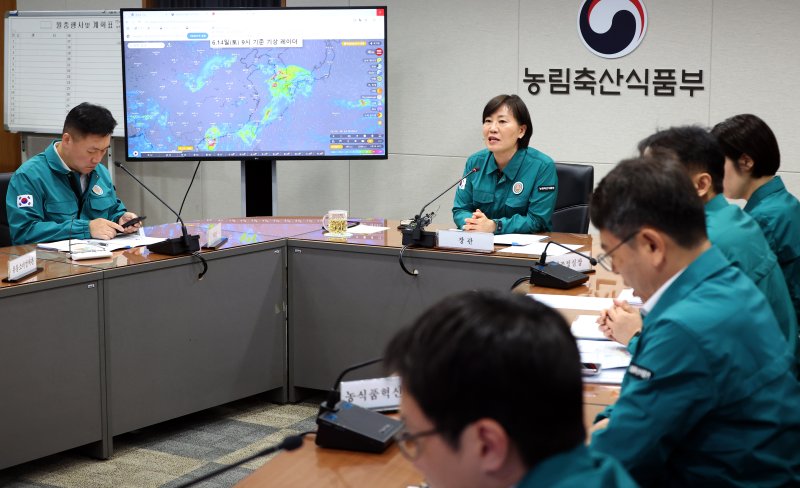 [세종=뉴시스] 강종민 기자 = 송미령 농림축산식품부 장관이 12일 세종시 라이브스코어 바카라사이트세종청사 농업재해대책상황실에서 장마 대비 추진상황 점검 회의를 주재하고 있다. 2025.06.12. ppkjm@newsis.com