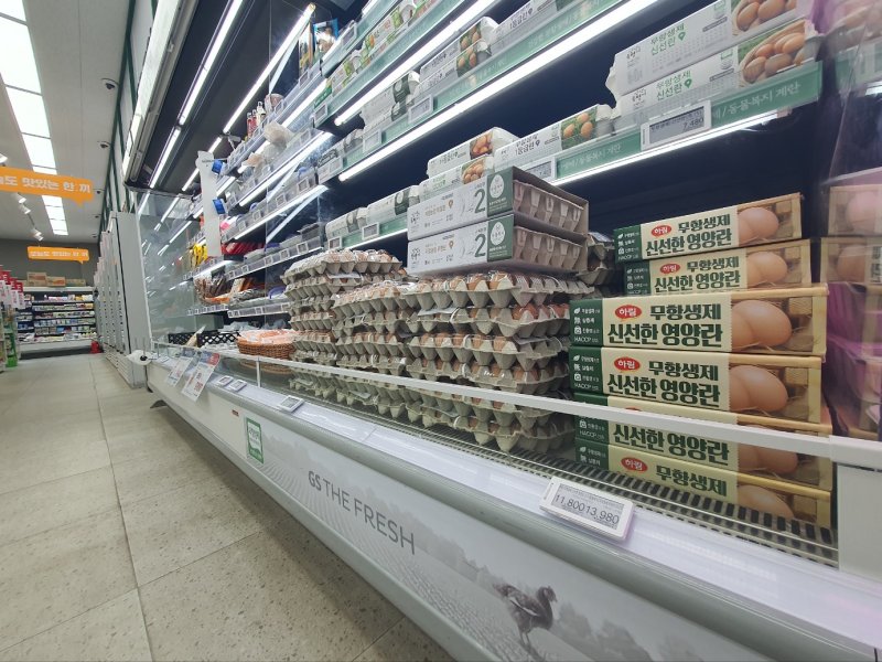 "계란추가 1000원"… 한강라면 먹으러 왔다 ‘깜짝’ [물가와의 전쟁]