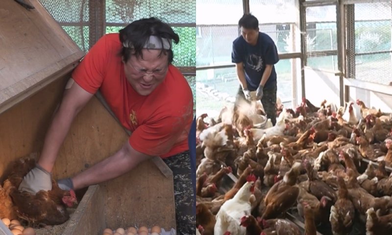 전현무·구성환, 초밀착 냉수 샤워…대규모 양계장 입성까지