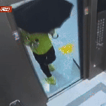  승강기 문 열리자 25㎝ 흉기 꺼낸 우산男의 정신병력