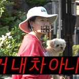 강남, 이상화 2억 포르쉐 핑크로 도색…″집에 들어오지 마″