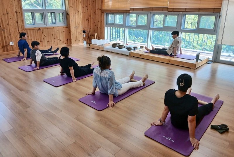 산림복지시설서 소도구 운동 산림치유 프로그램 체험하는 건강보험 가입자 (출처=연합뉴스)