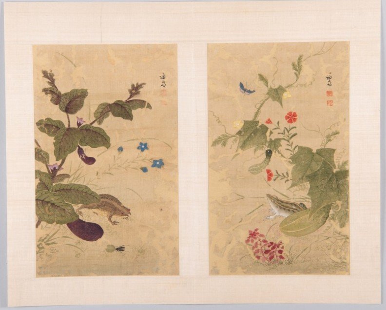복원된 겸재 정선 화훼영모화첩 중 '하마가자'(두꺼비와 가지. 왼쪽)와 '과전전계'(외밭의 참개구리). 조선 18세기, 비단에 색 각 31.0×18.8cm, 간송미술문화재단 소장 *재판매 및 DB 금지
