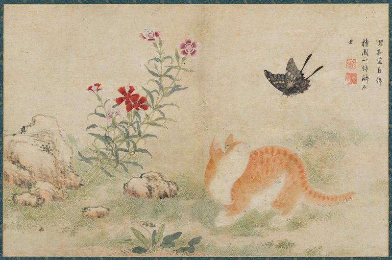 김홍도(金弘道, 1745~1806 이후) 황묘농접黃猫弄蝶 조선 18세기, 종이에 색 30.4×46.4cm, 간송미술문화재단 소장 *재판매 및 DB 금지