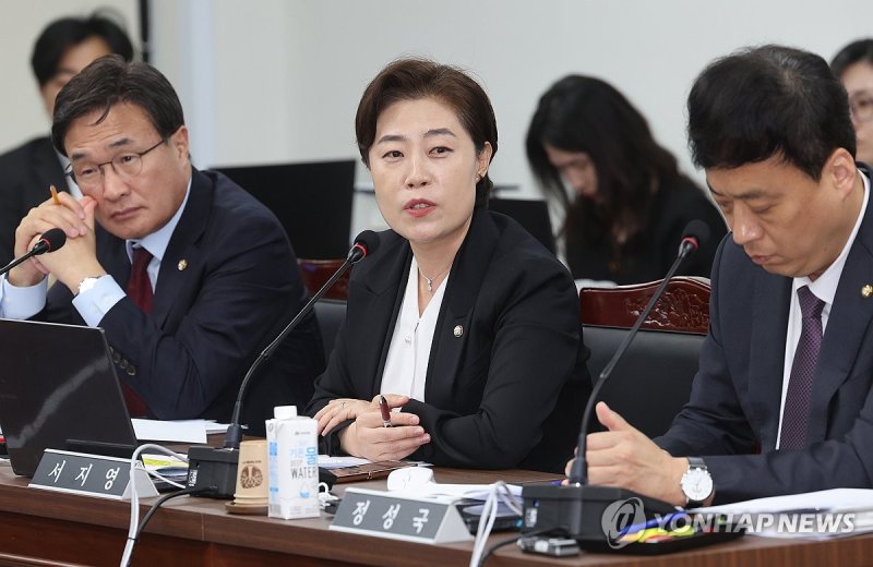 서지영 국민의힘 원내대변인 모습. 사진=연합코인카지노