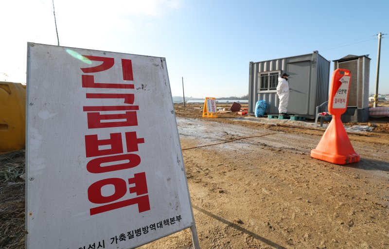 조류 인플루엔자 긴급방역 (자료사진) ⓒ News1 김영운 기자