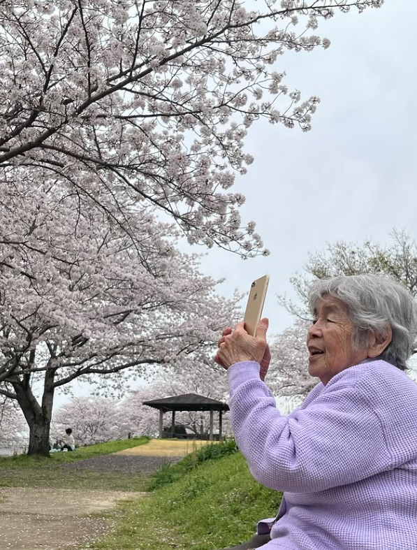 "늙어 버려지는 것도 삶의 일부"…日 '셀카 할머니', 벚꽃 사진과 함께 작별