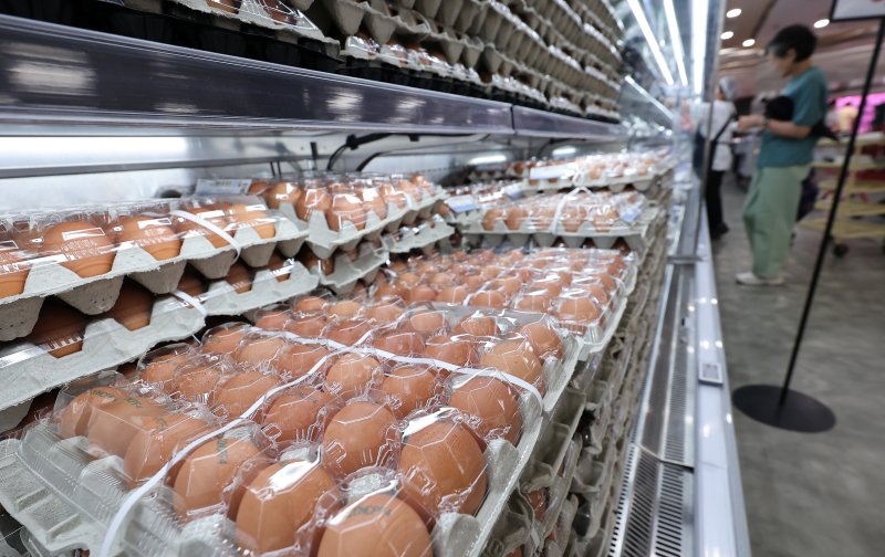 6일 서울 시내 한 대형마트에서 시민들이 장을 보고 있다. 2025.6.15/뉴스1 ⓒ News1 김성진 기자