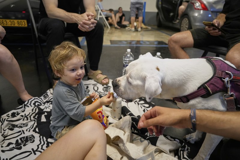 [텔아비브=AP/뉴시스] 15일(현지 시간) 이스라엘 텔아비브에 이란의 미사일 경보가 발령된 가운데 한 주차장 대피소에 가족과 함께 대피한 아이가 개에게 먹이를 주고 있다. 2025.06.16.