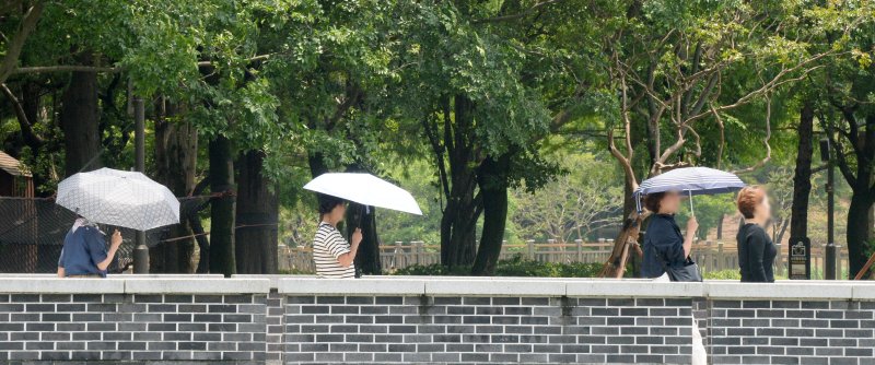 [전주=뉴시스] 김얼 기자 = 연이은 무더위가 이어지고 있는 16일 전북 전주시 전주덕진공원을 찾은 시민들이 양산으로 햇빛을 피하며 산책을 즐기고 있다. 2025.06.16. pmkeul@newsis.com