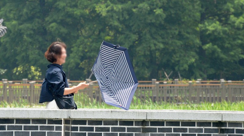 [전주=뉴시스] 김얼 기자 = 연이은 무더위가 이어지고 있는 16일 전북 전주시 전주덕진공원을 찾은 한 시민이 바람에 뒤집어진 양산을 바라보고 있다. 2025.06.16. pmkeul@newsis.com