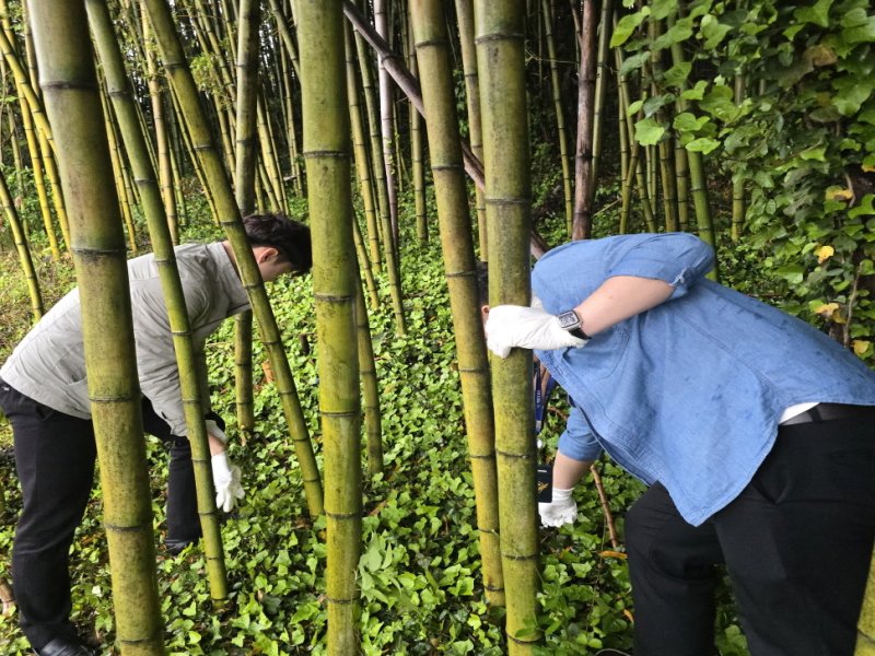 거기 경찰서죠?저 약했는데… 환각 상태서 자진신고한 30대