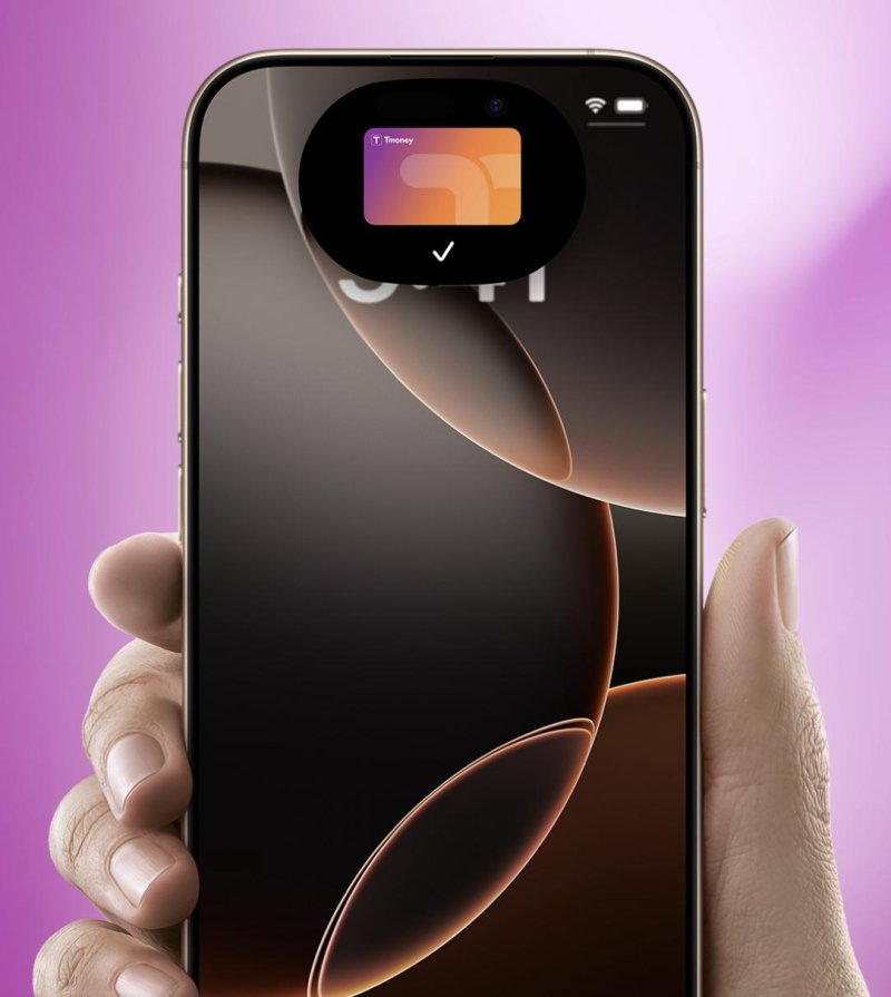 아이폰으로 대중교통 탄다… 애플페이·티머니 연동