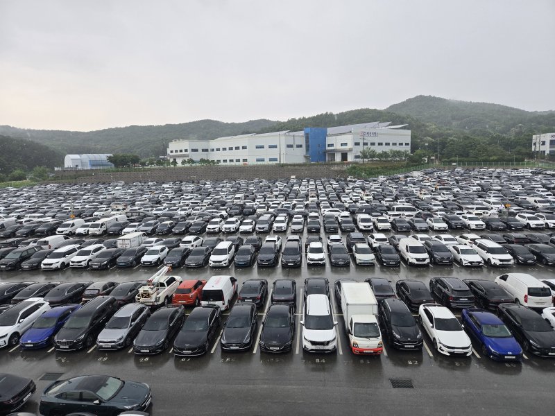 16일 경기 안성의 롯데렌탈 중고차 경매장 '롯데오토옥션' 야외 주차장에 차량이 전시된 모습. 매주 월요일 열리는 경매에 최대 1500대의 차량이 출품된다. 2025.06.16/뉴스1 김성식 기자