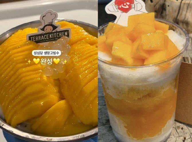 15만원 호텔 망고 빙수에 도전장 내민 '성심당'…가격이 '깜짝'