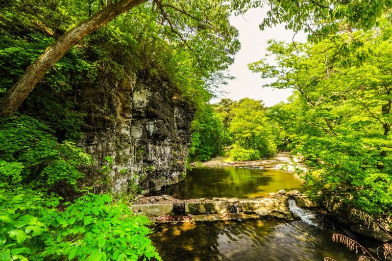 [여행honey] 영남 진산 팔공산 자락, 자비가 바다를 이루는 은해사 (출처=연합뉴스)