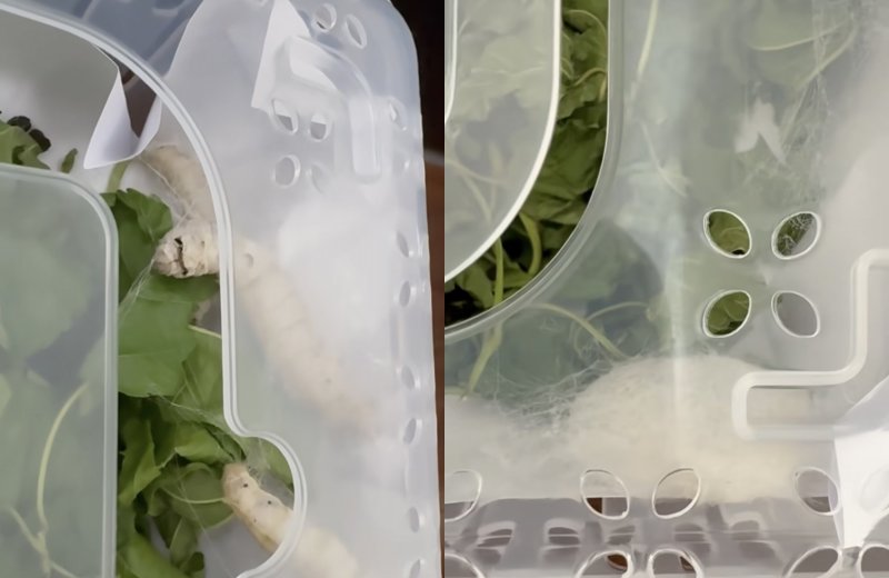 손예진, SNS 부계정 개설…'발예진'에 팬들 반응 폭발