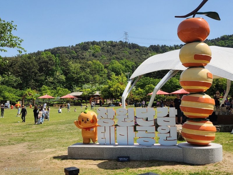 창원단감 지식재산권 보호 받는다…농관원, 지리적표시 농산물 등록