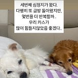 ′서프라이즈 걔′ 김하영, 안타까운 소식 ″세 번째 심정지″
