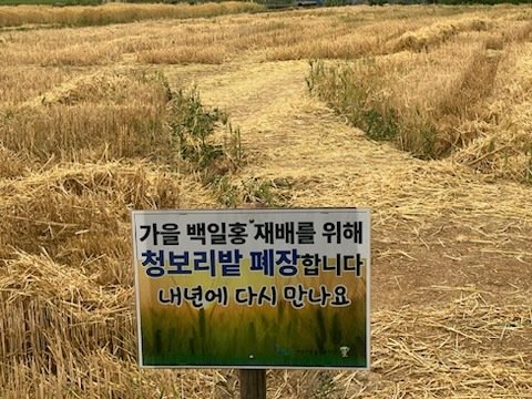 카지노 꽁 머니(인천 계양구 제공.재판매 및 DB금지)