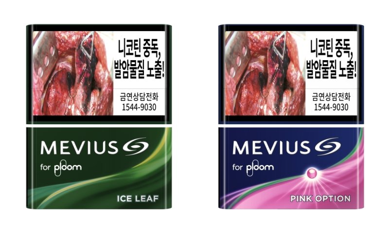 (JTI코리아 제공)