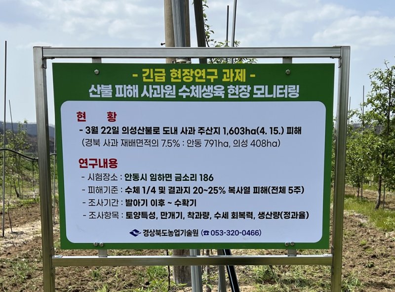 경북도는 19일 지난 3월 발생한 대형 산불로 피해를 본 카드카운팅 회복력 진단 연구에 본격 착수 했다 2025.6.19/뉴스1 ⓒ News1 김대벽기자