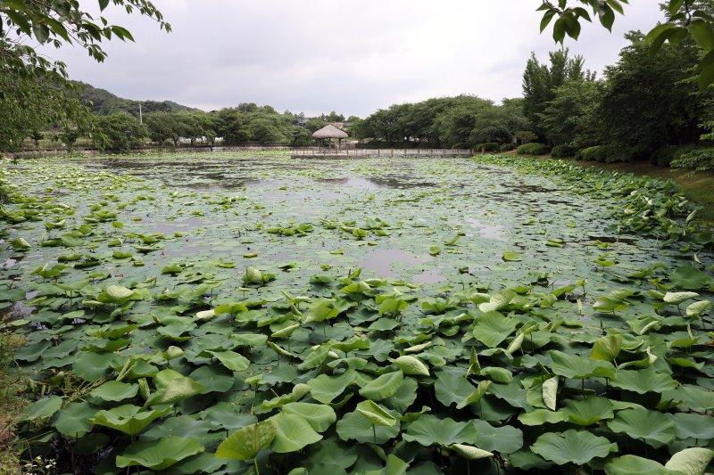 시간을 거슬러 뚜벅뚜벅… 순례의 길 끝에서 김대건을 만나다 [Weekend 레저]