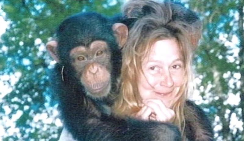 침팬지에 공격 당해 얼굴 잃었던 女, 16년 만에 깜짝 근황 공개