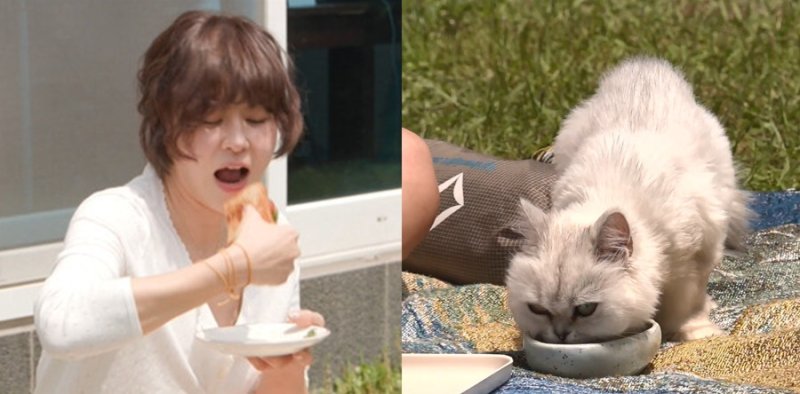 최강희 "문해력 검사, 중학교 수준" 반전 고백