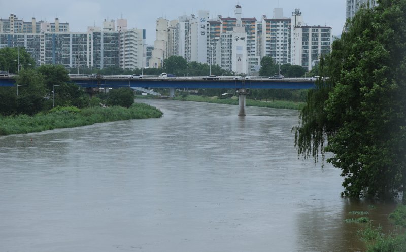 20일 강한 호우로 서울 중랑천의 하천 수위가 상승해 있다. 2025.6.20/뉴스1 ⓒ News1 권현진 기자