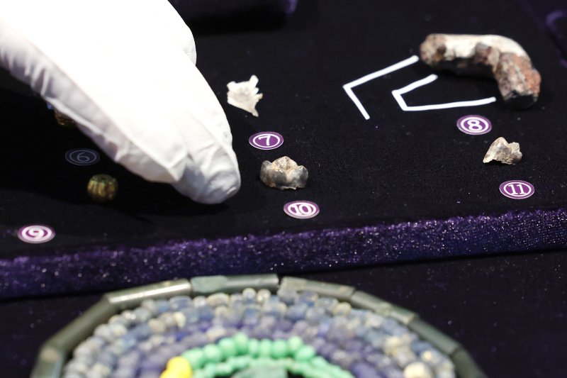 [서울=뉴시스] 박진희 기자 = 국가유산청 국립문화유산연구원 국립부여문화유산연구소는 17일 서울 중구 한국의집 민속극장에서 '공주 무령왕릉과 왕릉원' 2호분 출토 어금니(가운데)를 공개하고 있다. 2025.06.17. pak7130@newsis.com